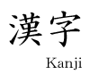 Kanji lessons are included